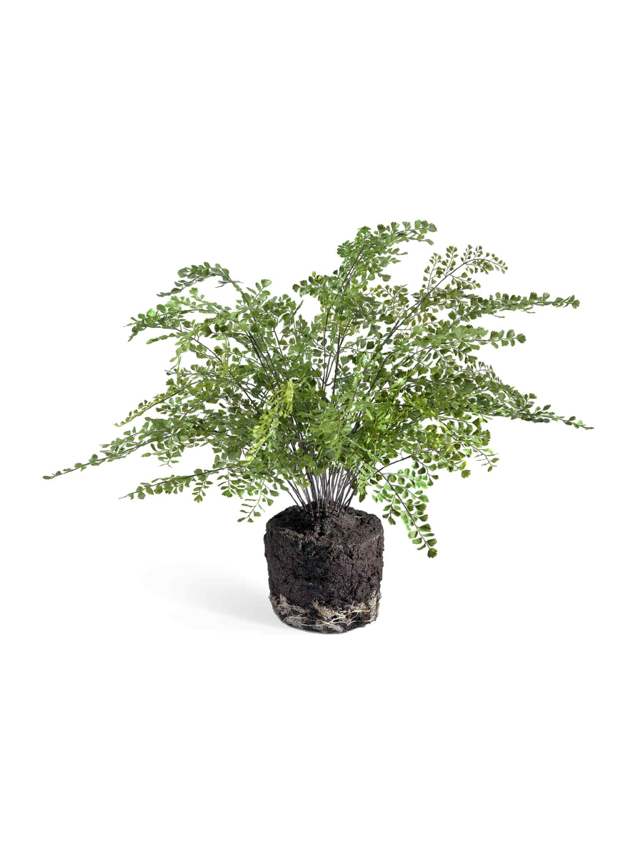 Искусственное растение Папоротник Адиантум куст в земле с корнями Искусственное растение Папоротник Адиантум куст в земле с корнями