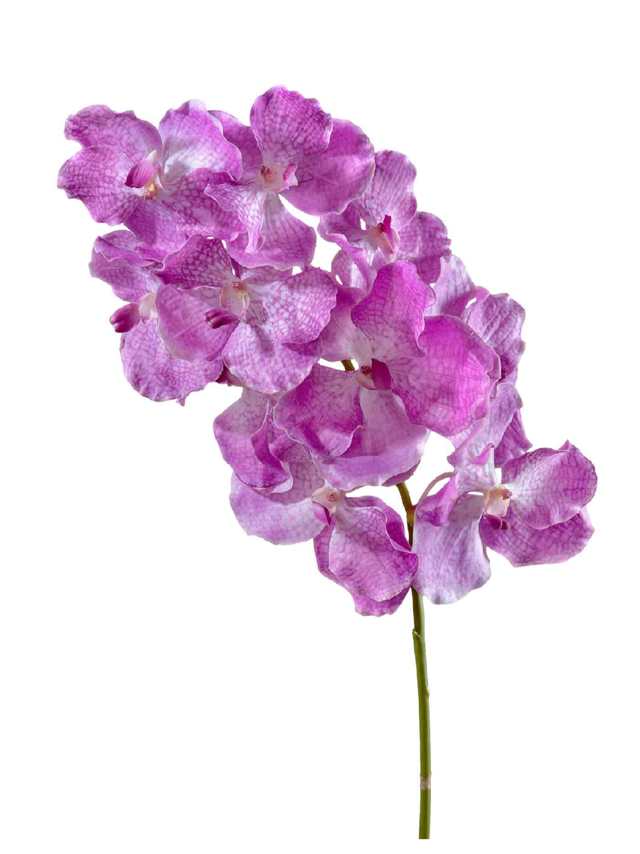30.0610042LPR Искусственные цветы Орхидея Ванда с ярко-сиреневыми прожилками, Treez 30.0610042LPR — изображение 1