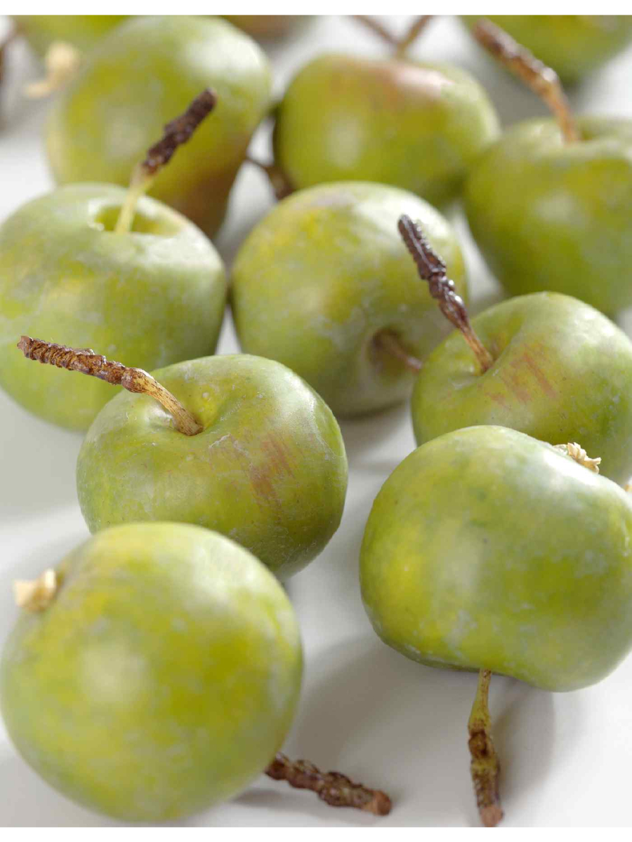 30.0610057 Искусственные цветы Яблочки-мини зеленые в коробке, Treez 30.0610057 — изображение 1