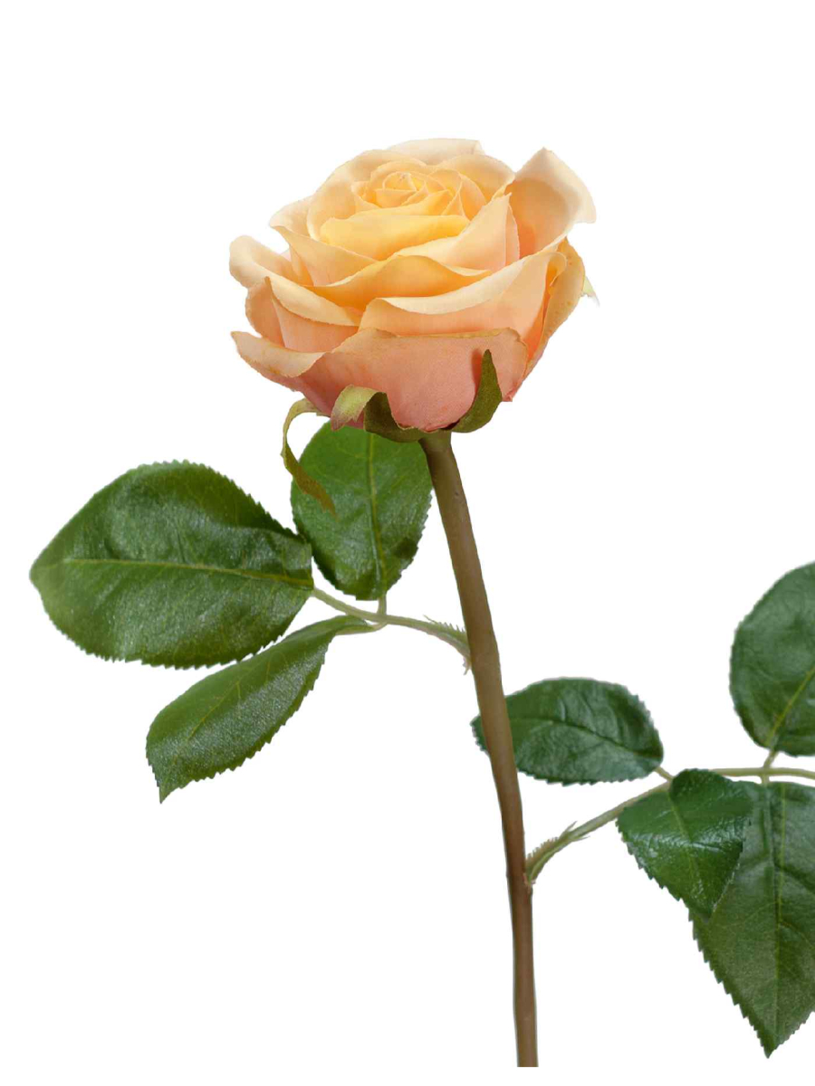 30.0611075OCR Искусственные цветы Роза Флорибунда Мидл крем-персик д-8 см, Treez 30.0611075OCR — изображение 1