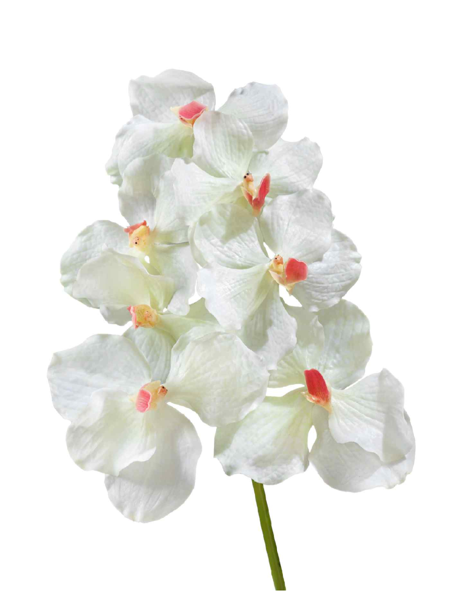 30.0611083CR Искусственные цветы Орхидея Ванда белая с роз. сердцевинкой, Treez 30.0611083CR — изображение 1