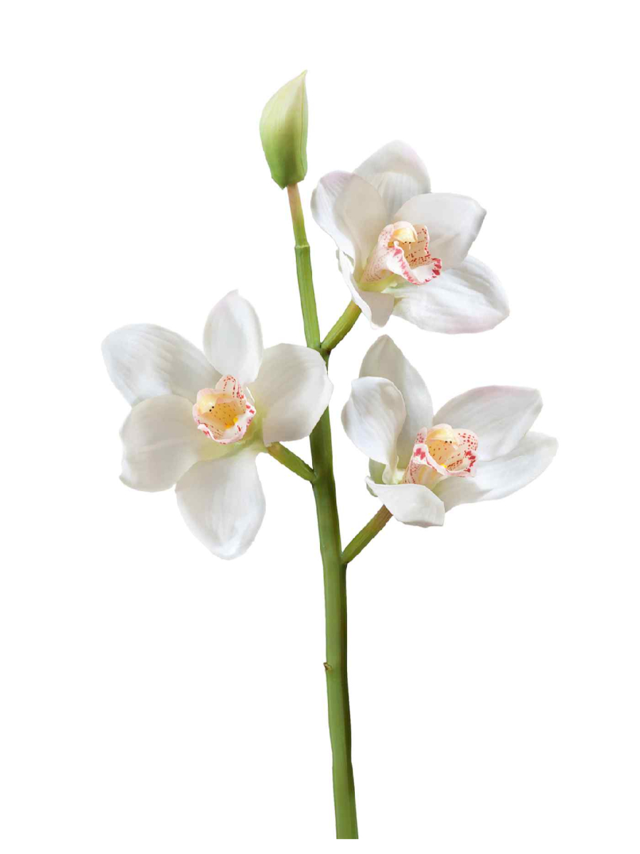 30.0611084WH Искусственные цветы Орхидея Цимбидиум ветвь белая малая, Treez 30.0611084WH — изображение 1