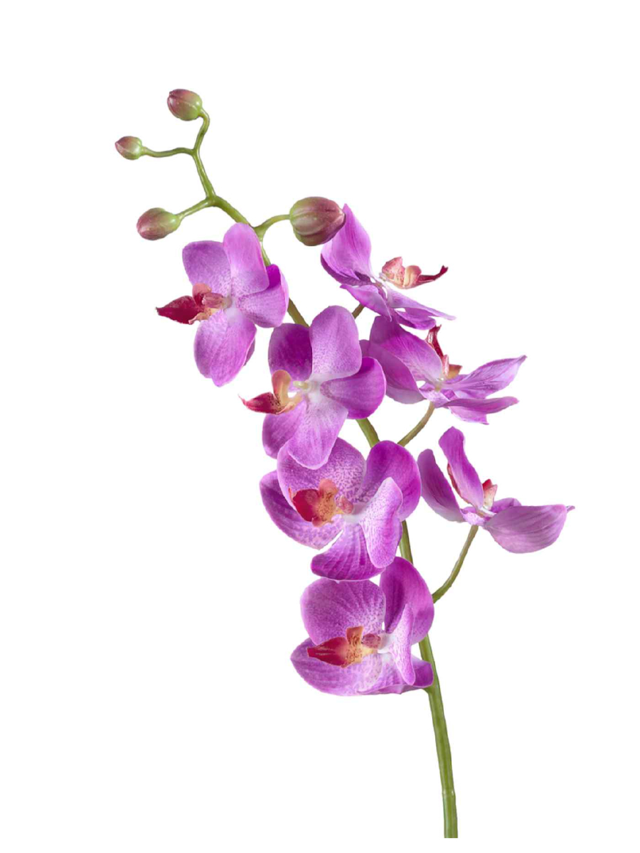 30.0611087VL Искусственные цветы Орхидея Фаленопсис Элегант св.фиолет, Treez 30.0611087VL — изображение 1