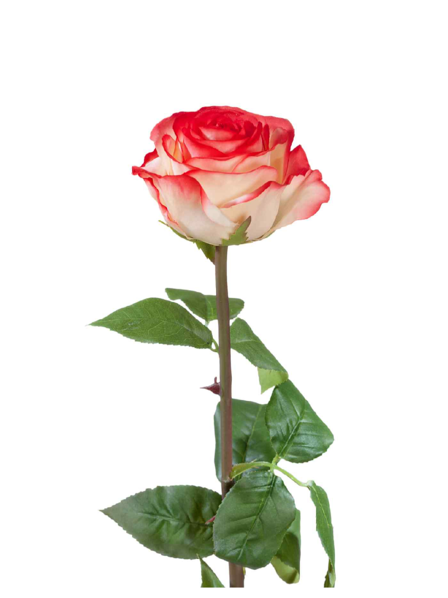 30.0612100LR Искусственные цветы Роза Соло Нью большая кремовая с розовым, Treez 30.0612100LR — изображение 1