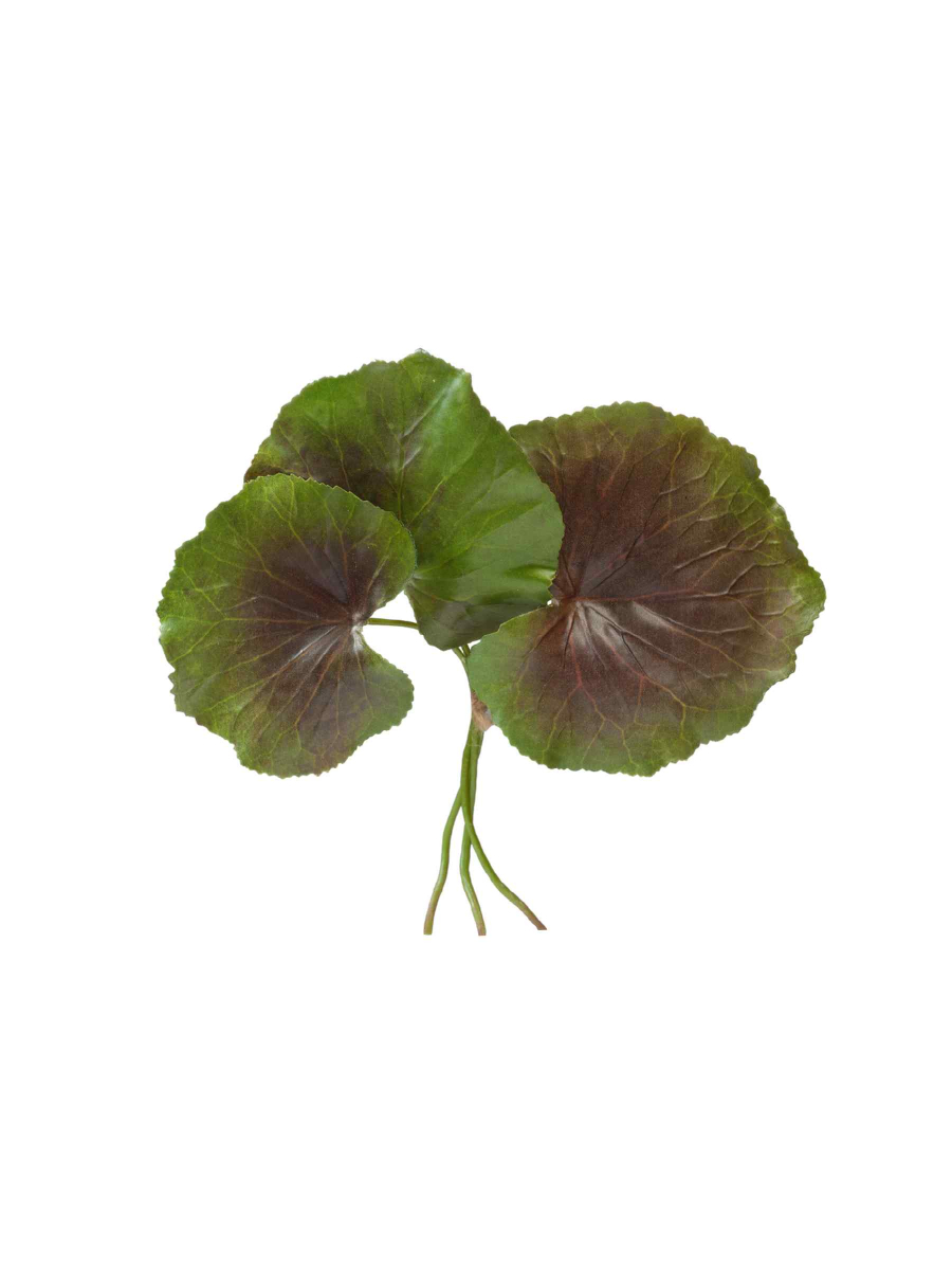 30.0613121LBGR Искусственные цветы Листы Галакса зелёно-бордовые 3 шт., Treez 30.0613121LBGR — изображение 1