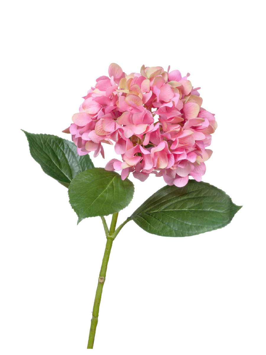 30.0613151PK Искусственные цветы Гортензия "Grande Fiore" ярко-розовая, Treez 30.0613151PK — изображение 1