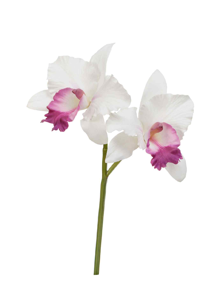 30.0616198WH Искусственные цветы Орхидея Каттлея белая с тёмно-розовым язычком, Treez 30.0616198WH — изображение 1