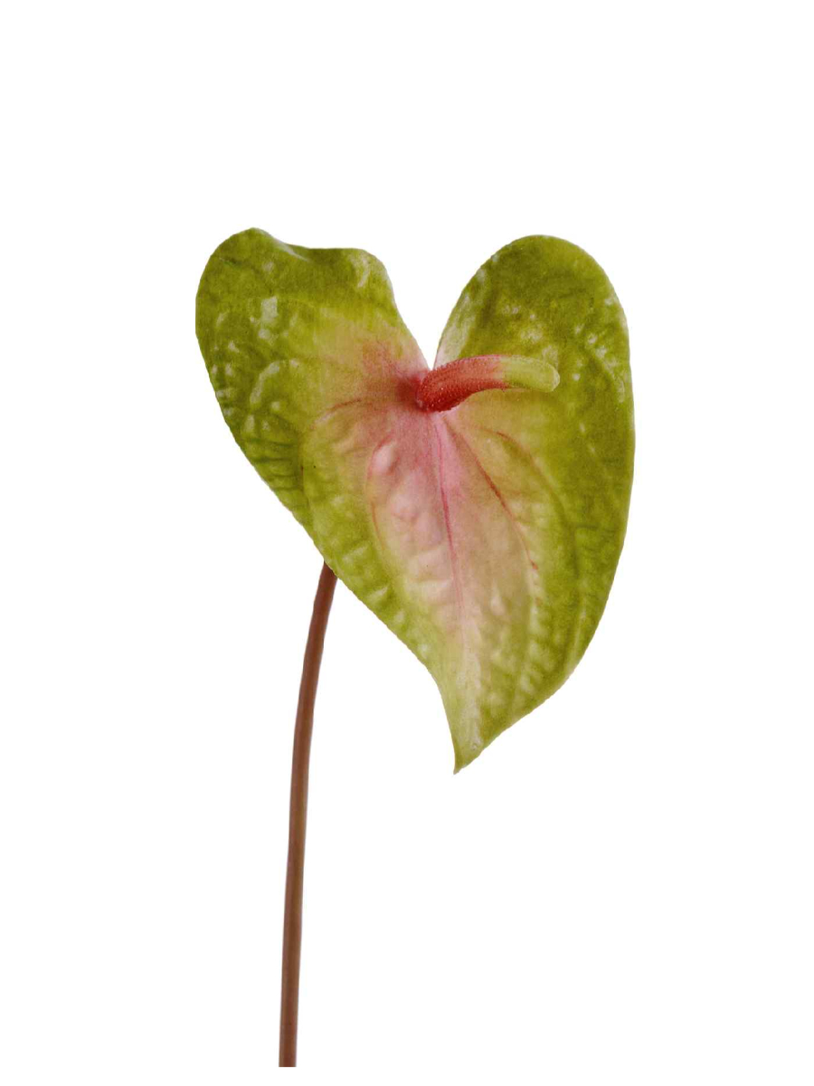30.11170021LGP Искусственные цветы Антуриум Макс св.зелёный с розовым, Treez 30.11170021LGP — изображение 1