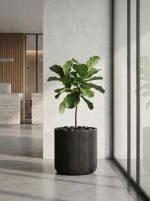 Кашпо напольное для цветов, TREEZ ERGO Jet, цилиндр, керамический горшок, Антрацит, 37x37 см, 40 л, для интерьера, для улицы