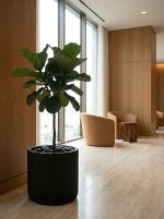 Кашпо напольное для цветов, TREEZ ERGO Jet, цилиндр, керамический горшок, Антрацит, 37x37 см, 40 л, для интерьера, для улицы — изображение 3