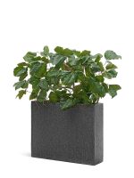 Кашпо напольное для цветов, TREEZ Effectory Stone, дивайдер, керамический горшок, тёмно-серый камень, 75x92 см, 172/34 л, для интерьера, для улицы — изображение 3