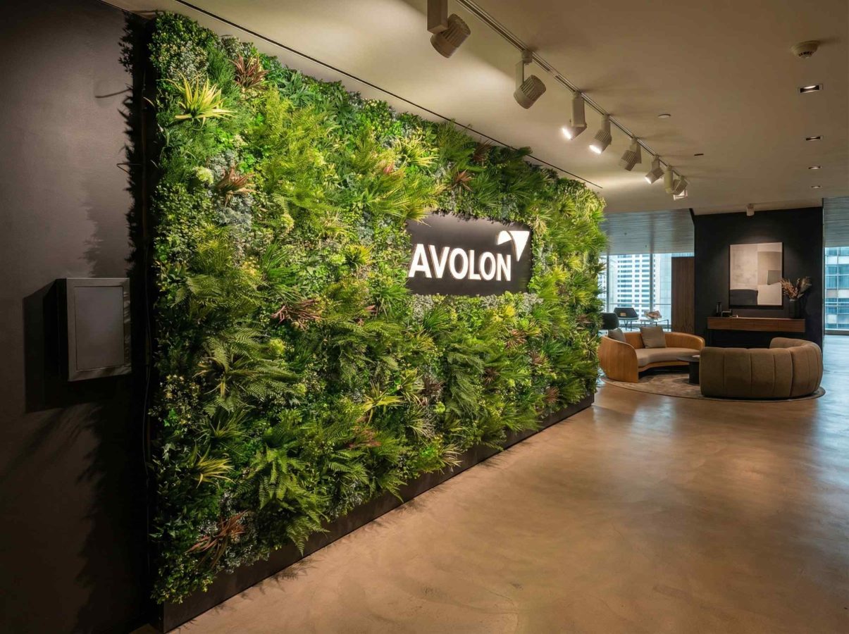 Озеленение офиса — фитостена