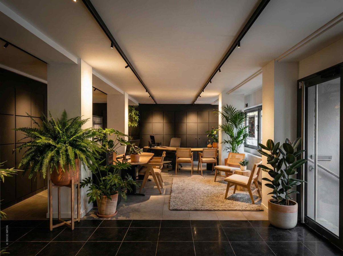 Озеленение офиса в Москве — искусственные растения в кашпо