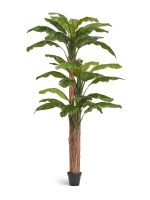 Искусственное дерево Банановое дерево, Treez 10.0157210N