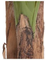 Искусственное дерево Банановое дерево, Treez 10.0157210N — изображение 2