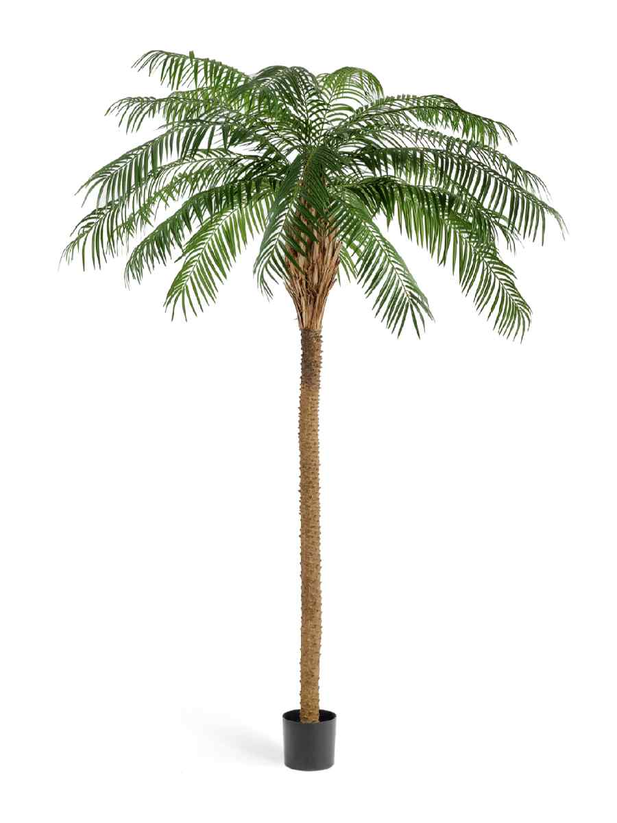 10.33007N Искусственное дерево Финиковая пальма де Люкс, Treez 10.33009N — изображение 1