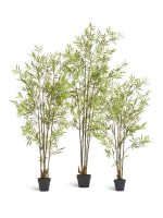 Искусственное дерево Бамбук японский Style (с UV-фильтром), Treez 10.338-1434UV