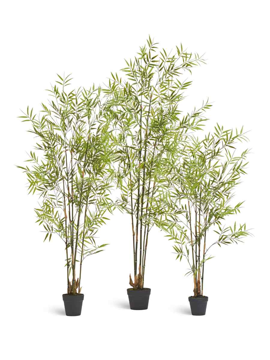 10.338-1434_35_36UV-1 Искусственное дерево Бамбук японский Style (с UV-фильтром), Treez 10.338-1435UV — изображение 1