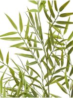 Искусственное дерево Бамбук японский Style (с UV-фильтром), Treez 10.338-1434UV — изображение 7