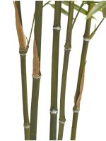 Искусственное дерево Бамбук японский Style (с UV-фильтром), Treez 10.338-1434UV — изображение 5