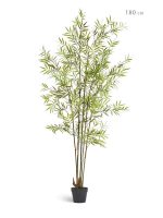 Искусственное дерево Бамбук японский Style (с UV-фильтром), Treez 10.338-1434UV — изображение 4