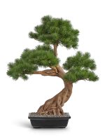 Искусственное дерево Бонсай Сосна Японская белая Негиши в керамическом кашпо, Treez 10.46002N