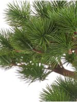 Искусственное дерево Бонсай Сосна Японская белая Негиши в керамическом кашпо, Treez 10.46002N — изображение 3