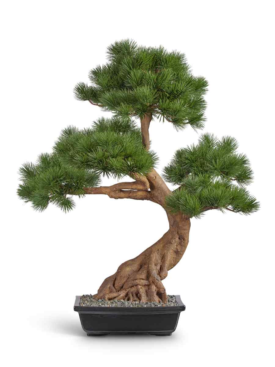 10.46002N Искусственное дерево Бонсай Сосна Японская белая Негиши в керамическом кашпо, Treez 10.46002N — изображение 1