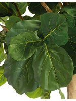 Искусственное дерево Гигантский фикус Лирата штамбовый, Treez 10.56912N — изображение 2