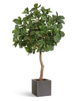 Искусственное дерево Гигантский фикус Лирата штамбовый, Treez 10.56912N — изображение 4