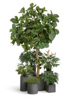 Искусственное дерево Гигантский фикус Лирата штамбовый, Treez 10.56912N — изображение 6