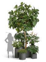 Искусственное дерево Гигантский фикус Лирата штамбовый, Treez 10.56912N — изображение 7